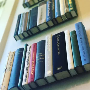 Wall Booky